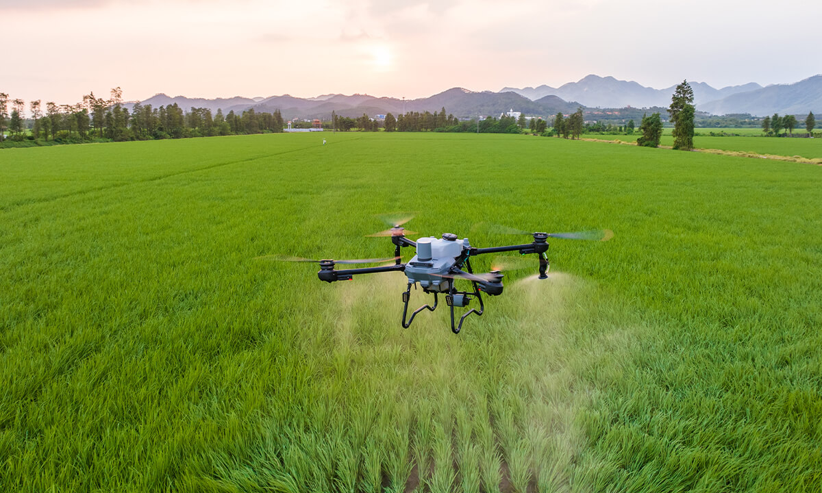 Drone DJI Agras T100 aplicando en campo de Córdoba